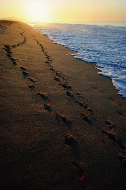MM_02_19_Les%20traces%20de%20pas%20dans%20le%20sable_html_4edff0ae.jpg
