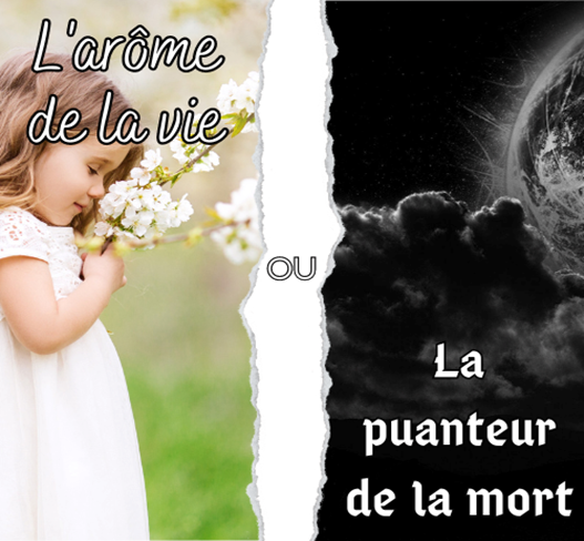 Une image contenant texte, Amour, fleur, baiser

Description gnre automatiquement