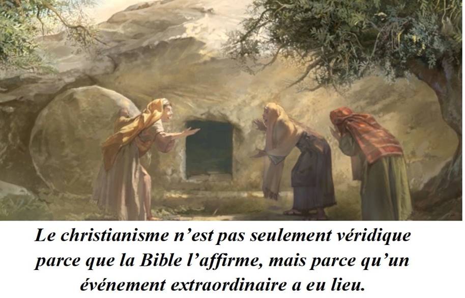 Une image contenant texte

Description gnre automatiquement