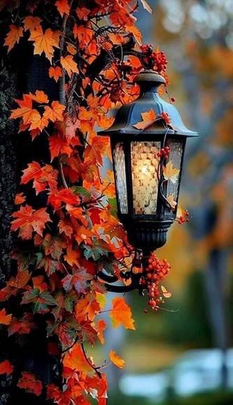 Une image contenant plein air, arbre, chute, lampe

Description gnre automatiquement